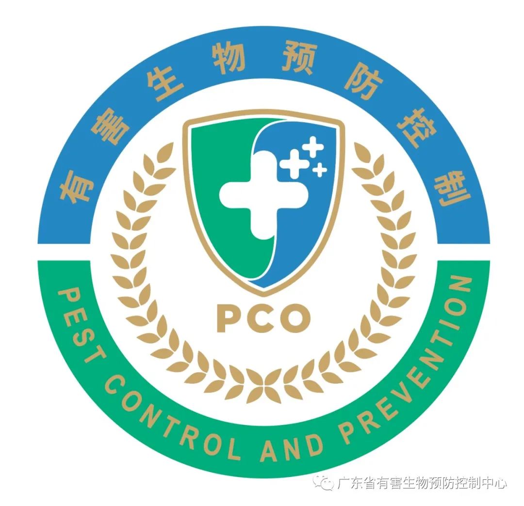 室内杀臭虫什么药最好_室内臭虫怎么消灭_室内灭臭虫