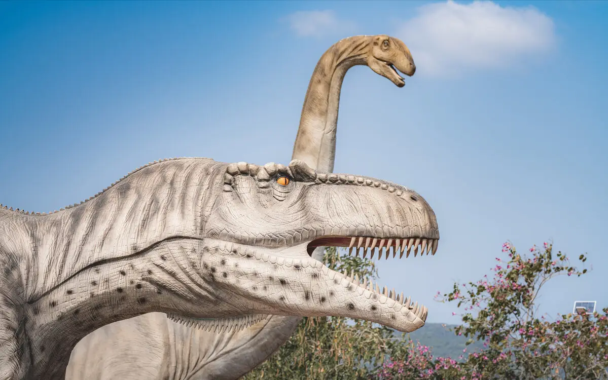 跳蚤图片放大_跳蚤的图片_跳蚤图片高清图