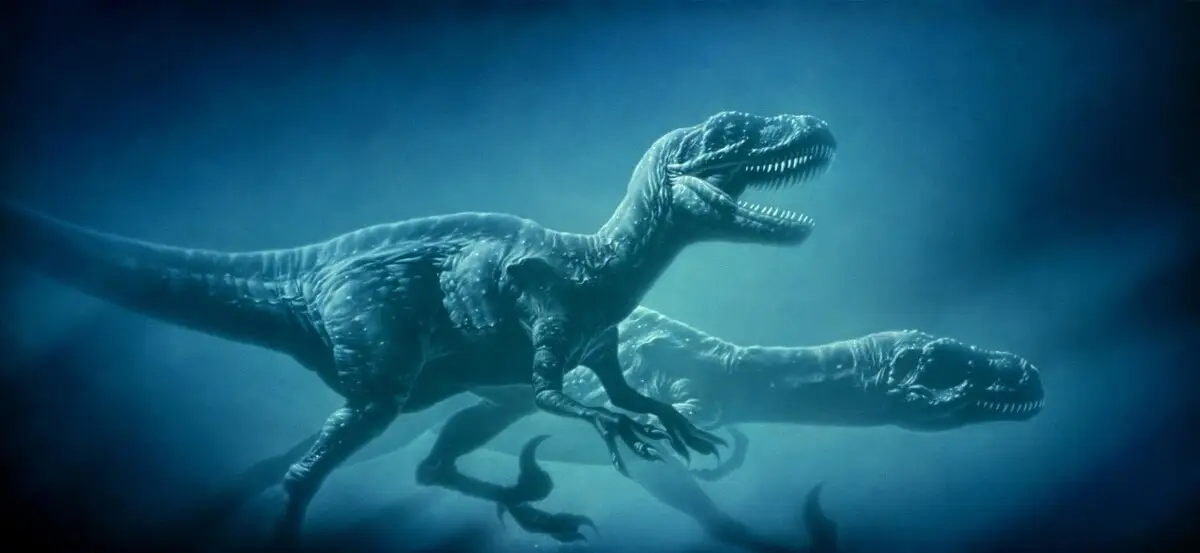 跳蚤的图片_跳蚤图片放大_跳蚤图片高清图