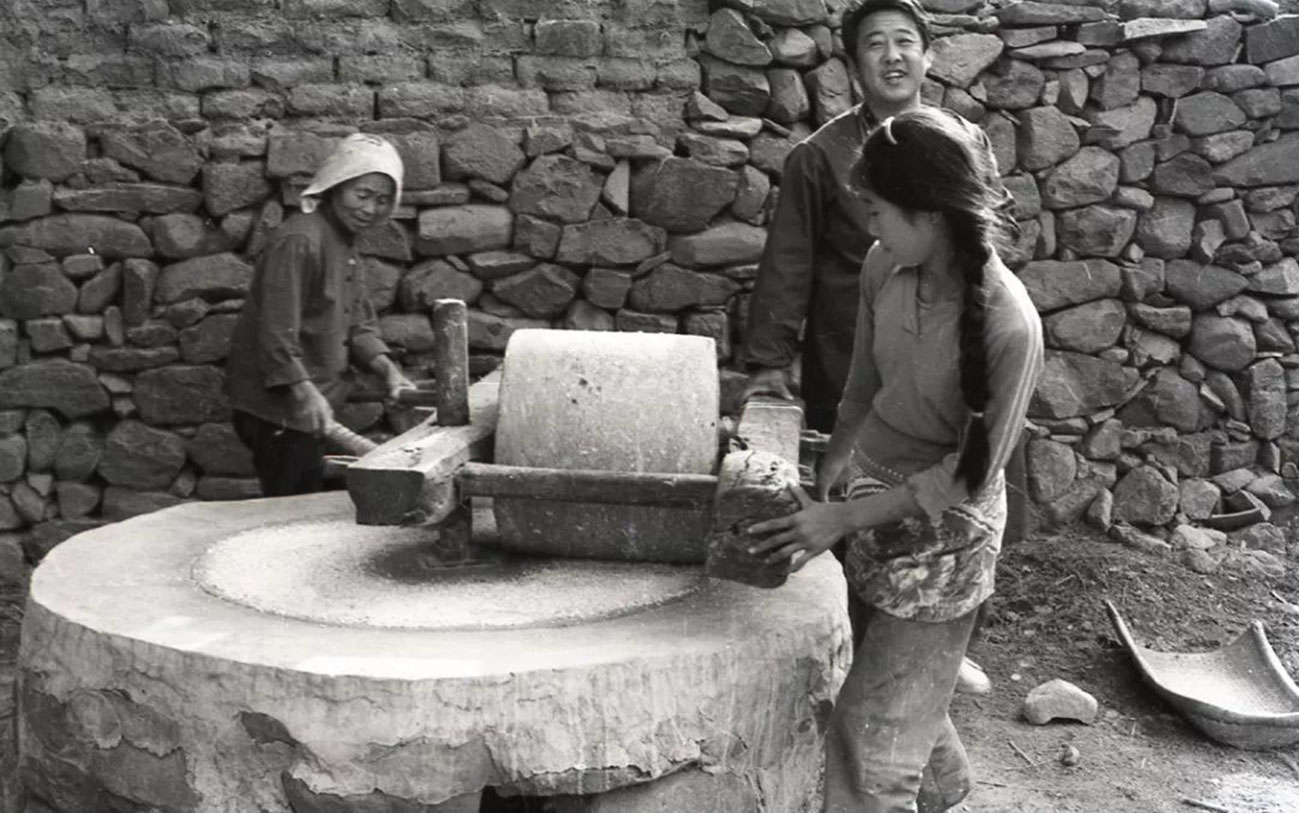 跳蚤图片高清图_跳蚤的图片_跳蚤图片放大