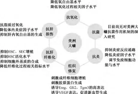 灭蟑螂药_蟑蟑螂药_灭蟑螂用药