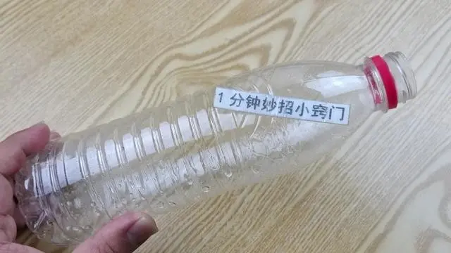 咋灭苍蝇_苍蝇用什么方法灭最好_灭苍蝇的最好方法