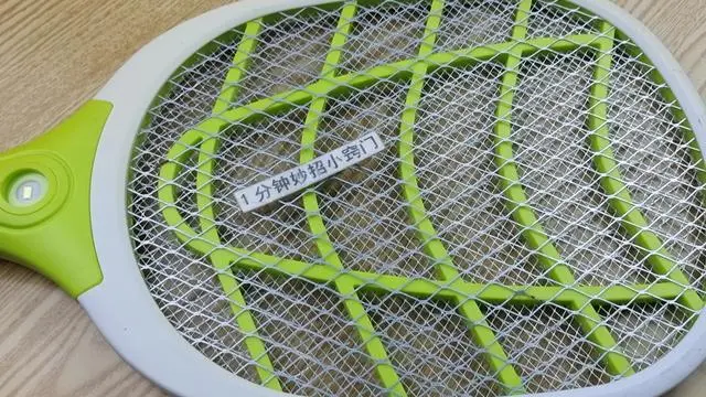 苍蝇用什么方法灭最好_灭苍蝇的最好方法_咋灭苍蝇