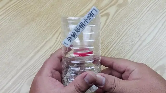 苍蝇用什么方法灭最好_灭苍蝇的最好方法_咋灭苍蝇