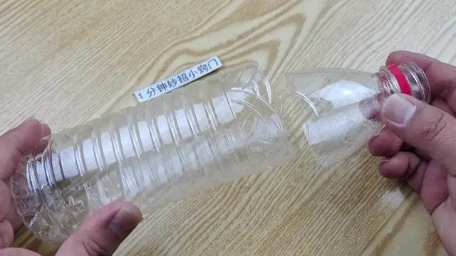 灭苍蝇的最好方法_苍蝇用什么方法灭最好_咋灭苍蝇