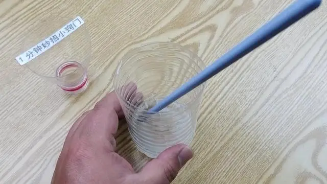 苍蝇用什么方法灭最好_灭苍蝇的最好方法_咋灭苍蝇