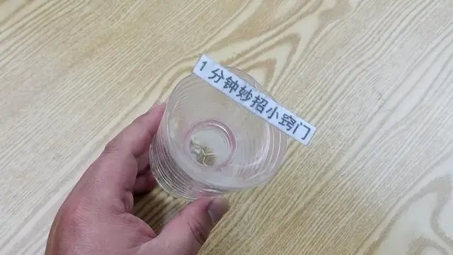 灭苍蝇的最好方法_咋灭苍蝇_苍蝇用什么方法灭最好