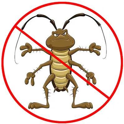 灭蟑螂药_蟑螂灭虫药_灭杀蟑螂药