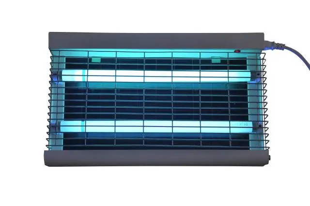 苍蝇怎样灭_灭苍蝇的最好方法_苍蝇消灭苍蝇最好的办法