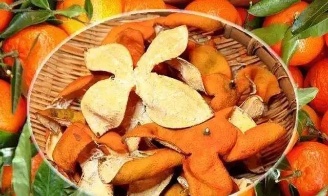 苍蝇消灭苍蝇最好的办法_苍蝇怎样灭_灭苍蝇的最好方法