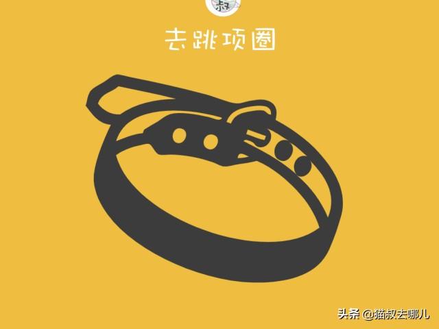 如何灭跳蚤一次全消灭_消灭消灭跳蚤_消灭跳蚤有什么办法