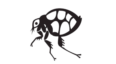 消灭消灭跳蚤_彻底消灭跳蚤_如何灭跳蚤一次全消灭