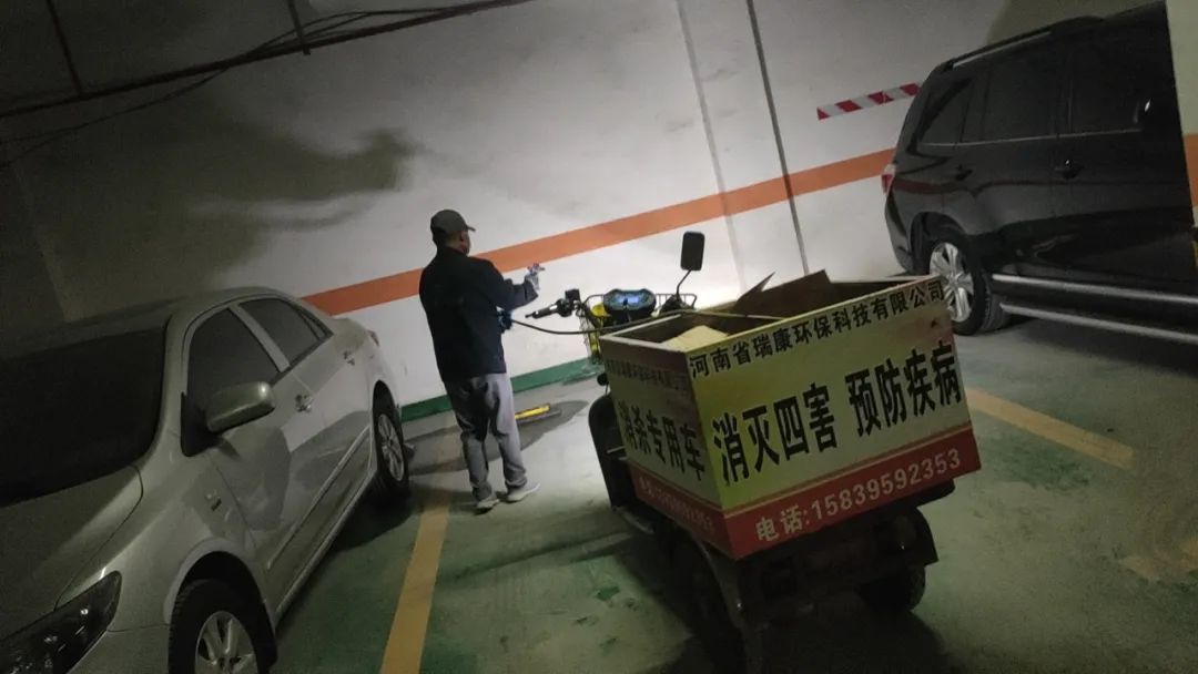 抓跳蚤什么意思_专业抓跳蚤_抓跳蚤的工具