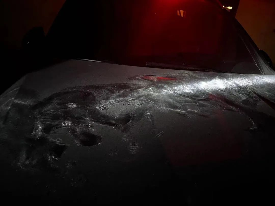 抓跳蚤什么意思_专业抓跳蚤_抓跳蚤的工具