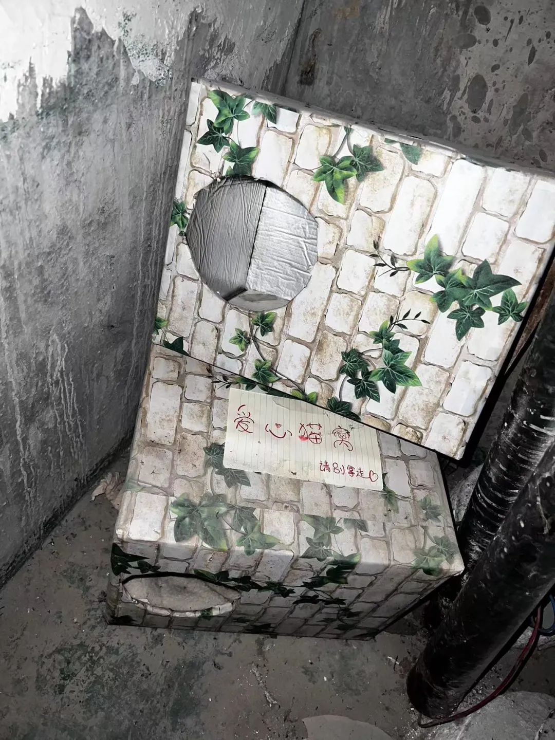 抓跳蚤什么意思_抓跳蚤的工具_专业抓跳蚤