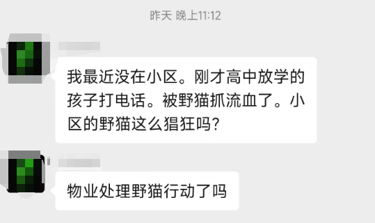 抓跳蚤什么意思_专业抓跳蚤_抓跳蚤的工具