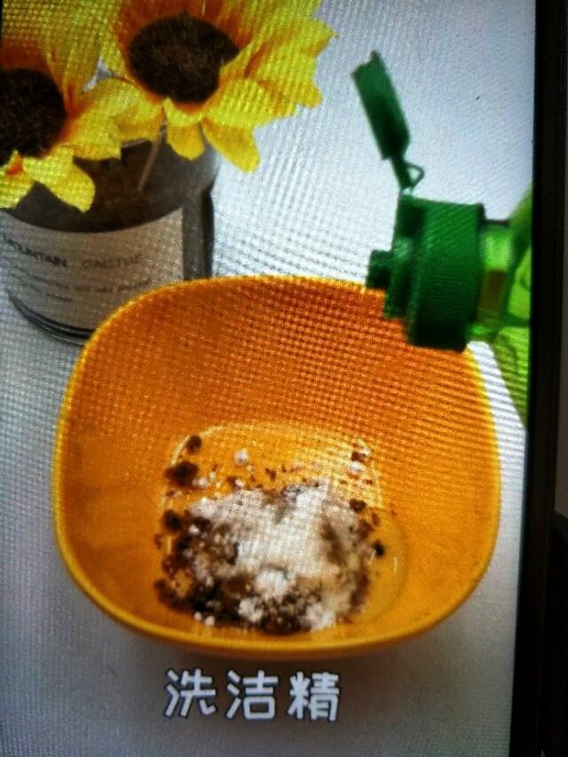 灭蟑螂药_蟑螂药灭蟑螂_蟑螂灭虫药