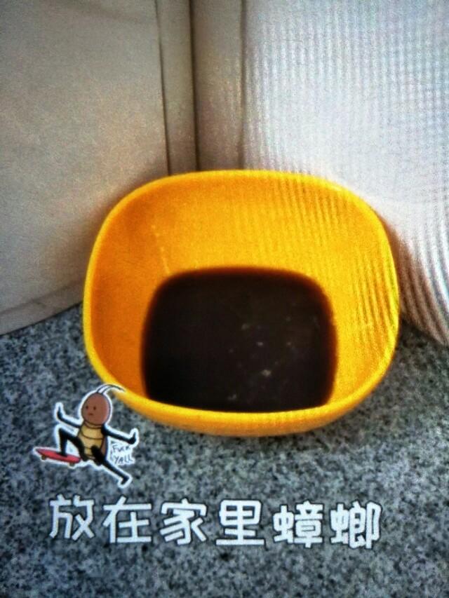 蟑螂灭虫药_蟑螂药灭蟑螂_灭蟑螂药