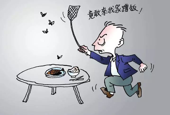 灭苍蝇的最好方法_咋灭苍蝇_苍蝇用什么方法灭最好