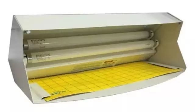 苍蝇用什么方法灭最好_咋灭苍蝇_灭苍蝇的最好方法