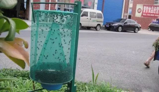 灭苍蝇的最好方法_苍蝇用什么方法灭最好_咋灭苍蝇