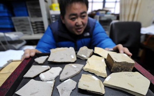 跳蚤的卵_跳蚤的卵_跳蚤的卵