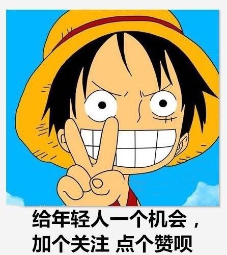 如何灭跳蚤一次全消灭_消灭消灭跳蚤_彻底消灭跳蚤