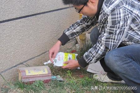 家庭灭鼠最有效的方法(家庭灭鼠小妙招)-第3张图片