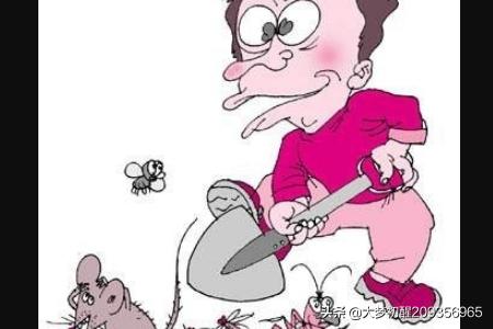 家庭灭鼠最有效的方法(家庭灭鼠小妙招)-第4张图片