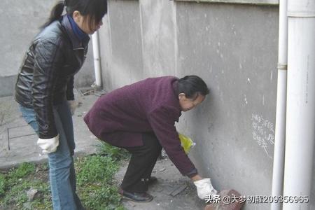 家庭灭鼠最有效的方法(家庭灭鼠小妙招)-第5张图片