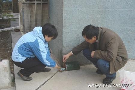 家庭灭鼠最有效的方法(家庭灭鼠小妙招)-第6张图片