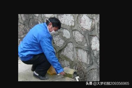 家庭灭鼠最有效的方法(家庭灭鼠小妙招)-第7张图片