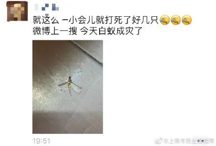 长沙灭白蚁电话_灭白蚁电话公司_灭白蚁电话