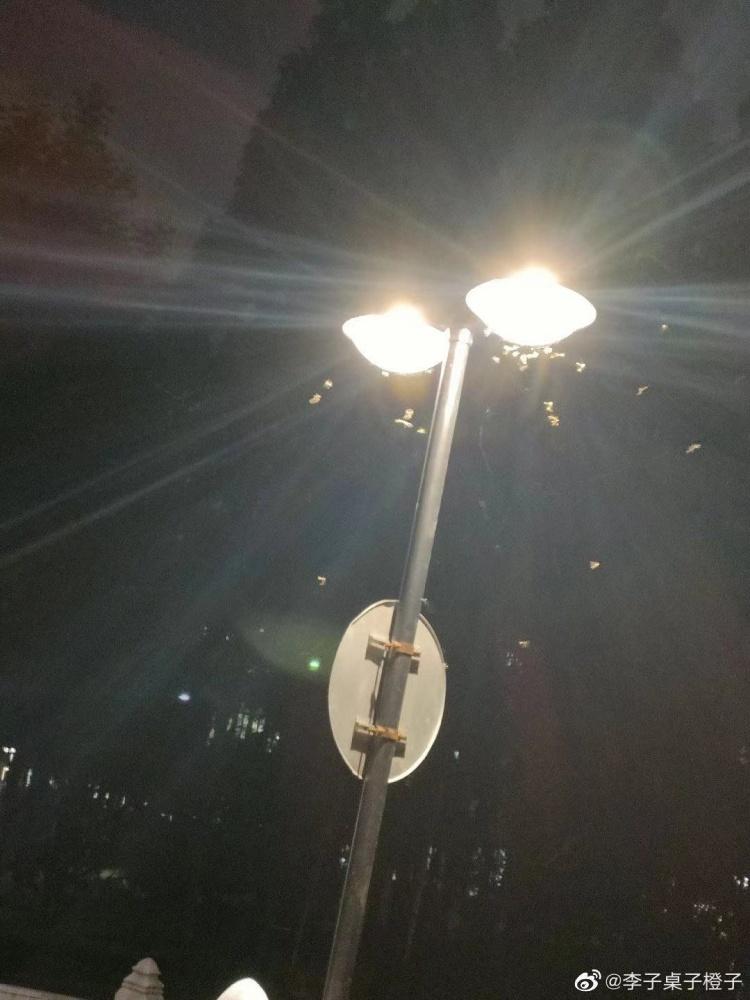 长沙灭白蚁电话_灭白蚁电话公司_灭白蚁电话