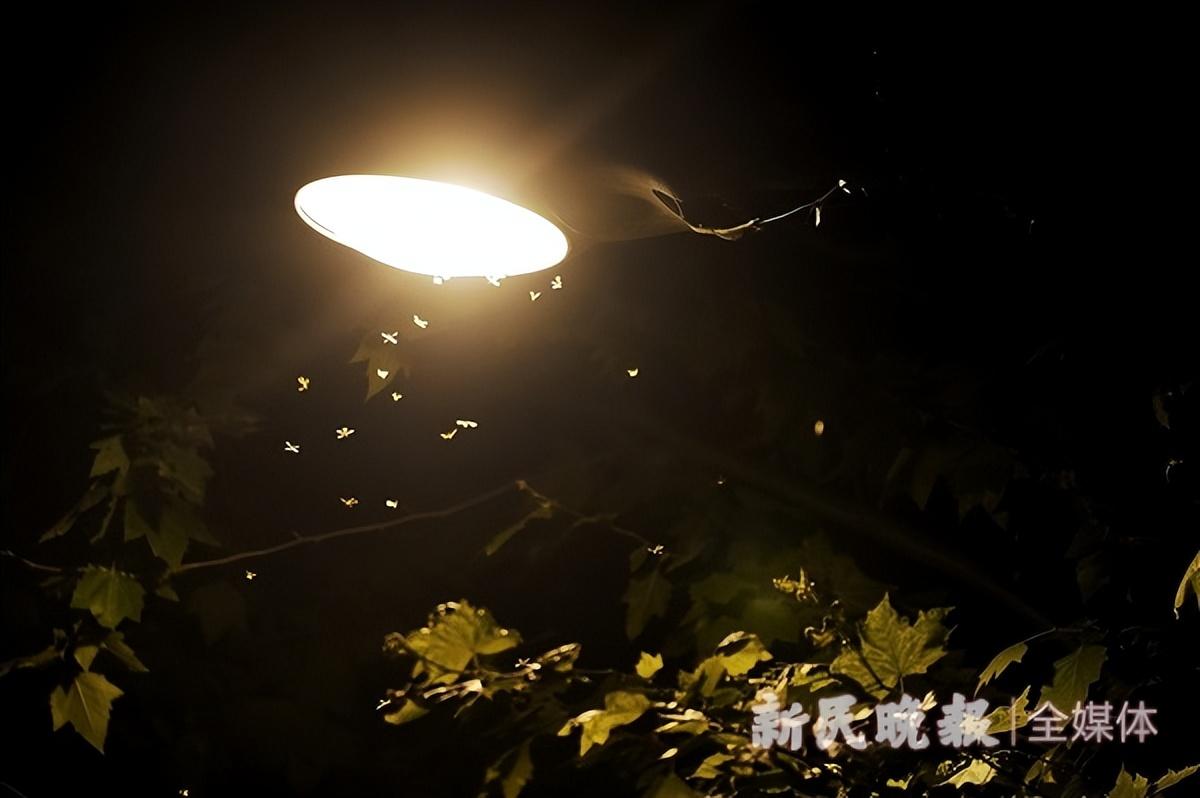 灭白蚁电话_灭白蚁电话号码_灭白蚁电话多少