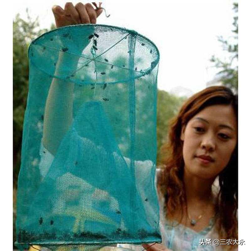 灭苍蝇用什么办法_苍蝇消灭苍蝇最好的办法_苍蝇用什么方法灭最好