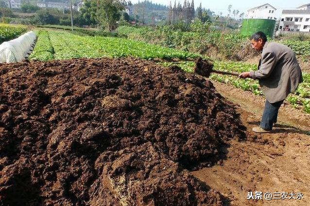 苍蝇用什么方法灭最好_灭苍蝇用什么办法_苍蝇消灭苍蝇最好的办法