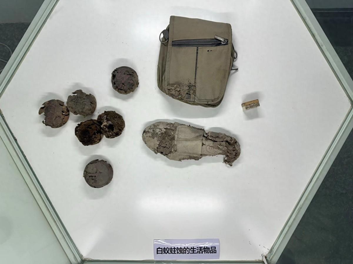 灭白蚁电话号码_灭白蚁电话_长沙灭白蚁电话