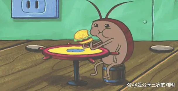 灭蟑螂的方法_蟑螂灭除方法_蟑螂如何灭