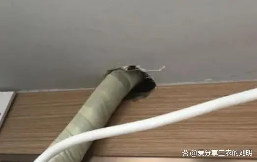 蟑螂灭除方法_灭蟑螂的方法_蟑螂如何灭