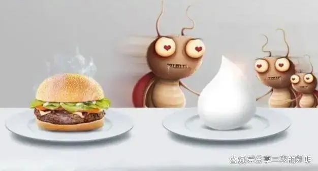 蟑螂如何灭_蟑螂灭除方法_灭蟑螂的方法