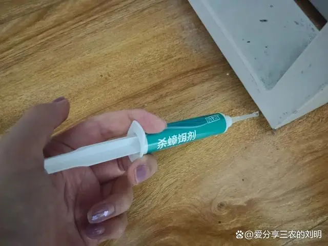 蟑螂如何灭_蟑螂灭除方法_灭蟑螂的方法