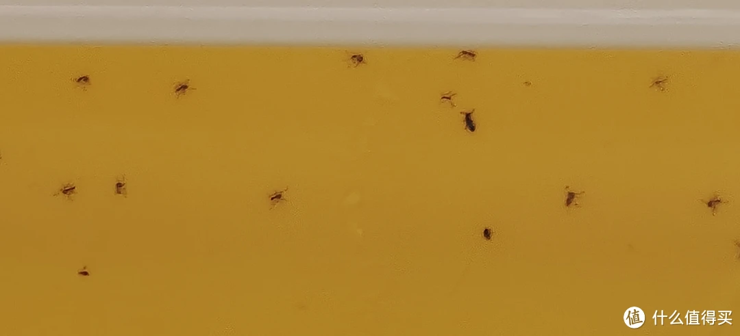 紫外光灭蚊灭虫灭苍蝇?还是工厂级专业设备好(含说明书)灯餐厅饭店用粘捕式诱虫壁挂杀蚊子商铺挂墙