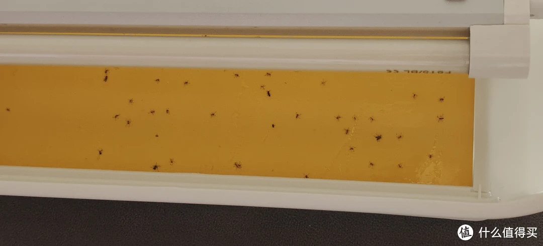 紫外光灭蚊灭虫灭苍蝇?还是工厂级专业设备好(含说明书)灯餐厅饭店用粘捕式诱虫壁挂杀蚊子商铺挂墙