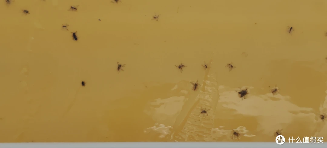 紫外光灭蚊灭虫灭苍蝇?还是工厂级专业设备好(含说明书)灯餐厅饭店用粘捕式诱虫壁挂杀蚊子商铺挂墙