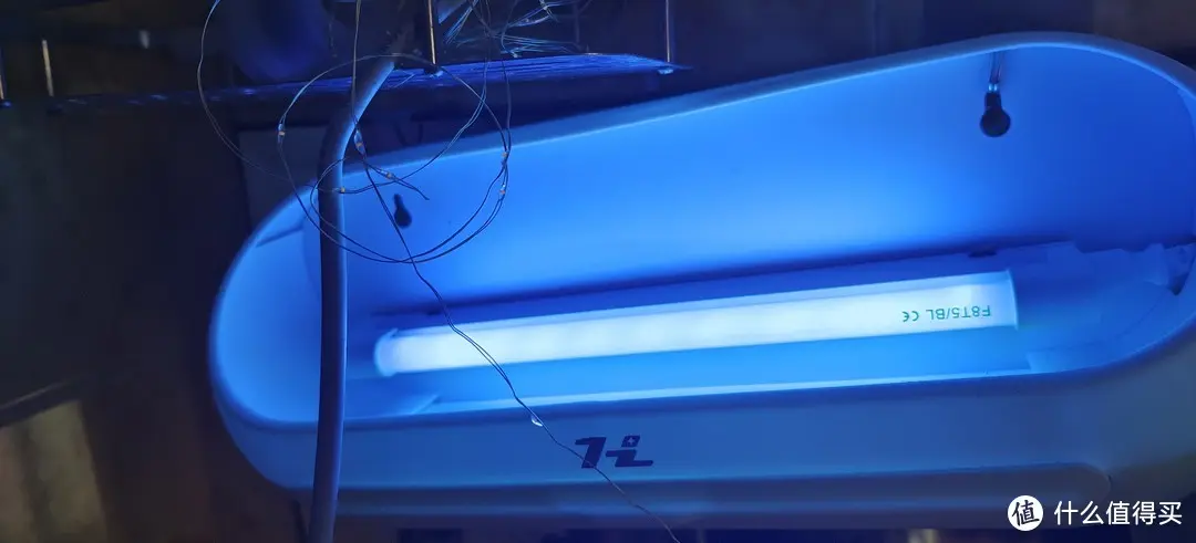 紫外光灭蚊灭虫灭苍蝇?还是工厂级专业设备好(含说明书)灯餐厅饭店用粘捕式诱虫壁挂杀蚊子商铺挂墙