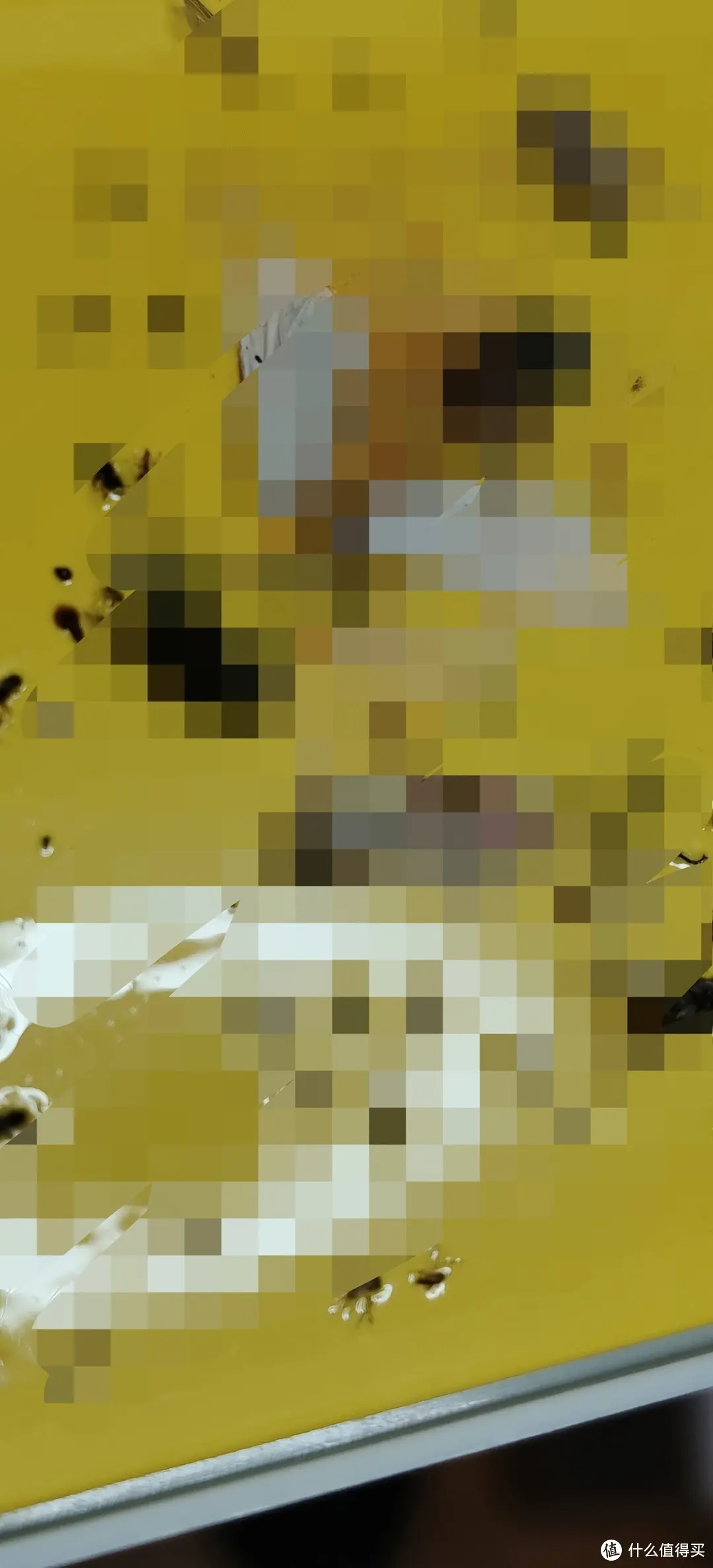 紫外光灭蚊灭虫灭苍蝇?还是工厂级专业设备好(含说明书)灯餐厅饭店用粘捕式诱虫壁挂杀蚊子商铺挂墙