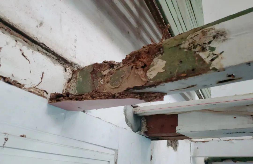 长沙灭白蚁电话_灭白蚁电话_灭白蚁电话多少