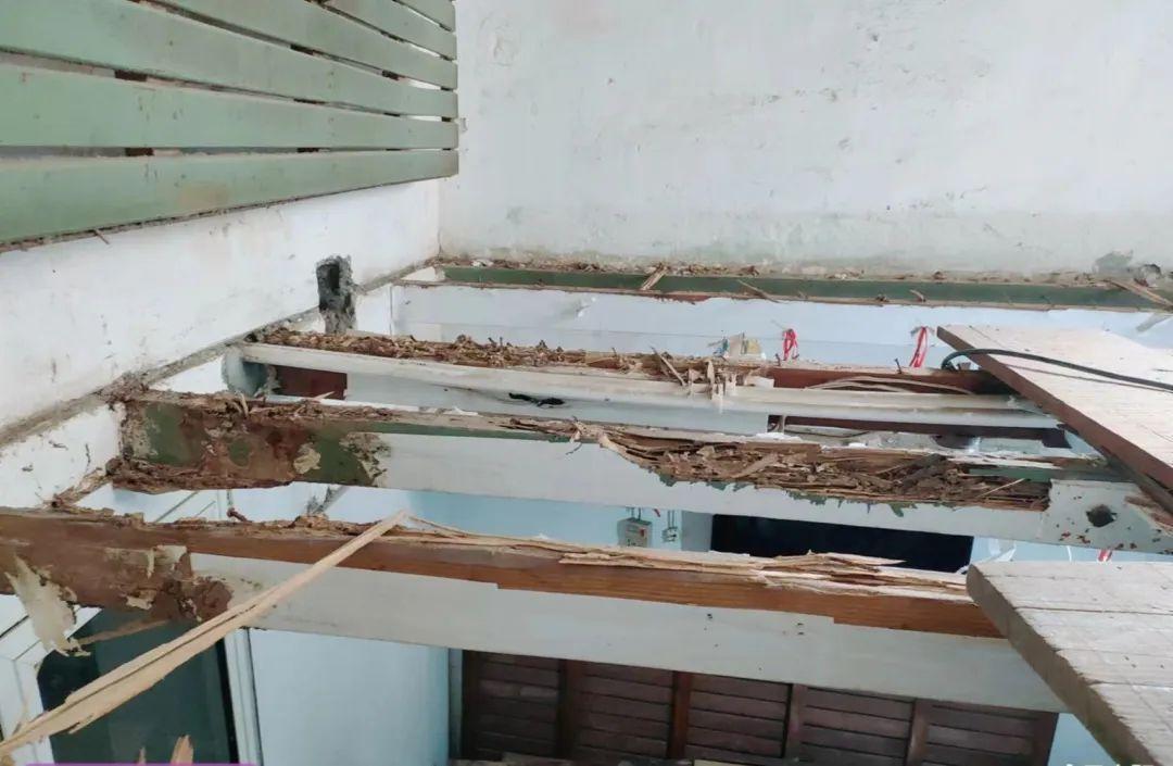 长沙灭白蚁电话_灭白蚁电话_灭白蚁电话多少