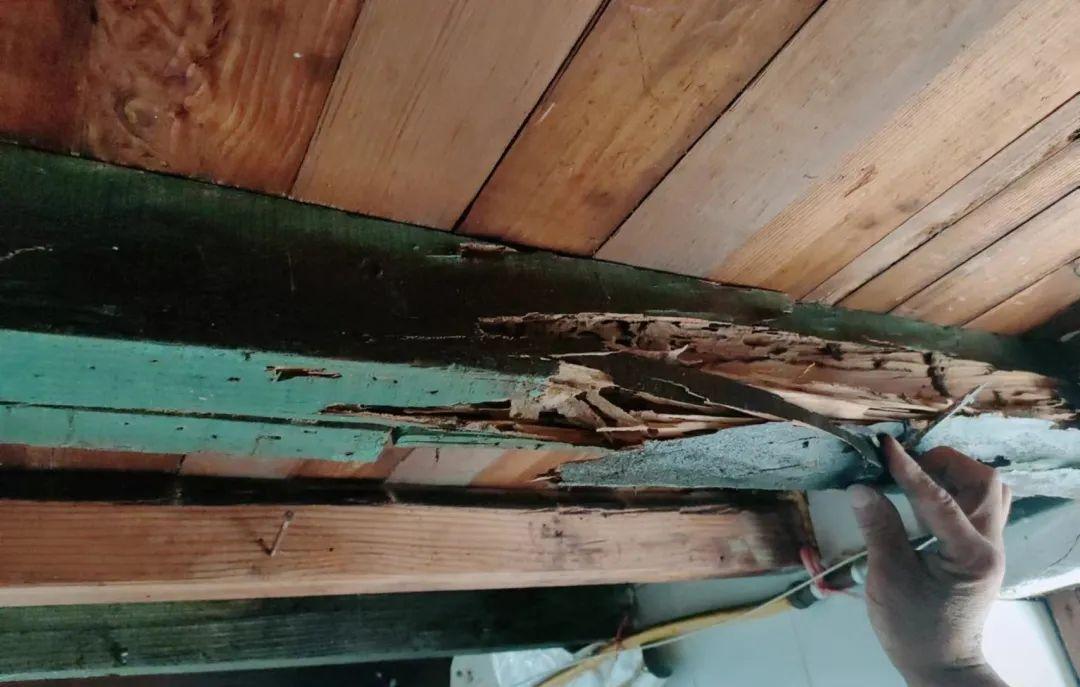 灭白蚁电话多少_灭白蚁电话_长沙灭白蚁电话